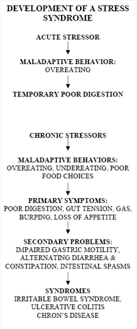 Development of a Stress Syndrome